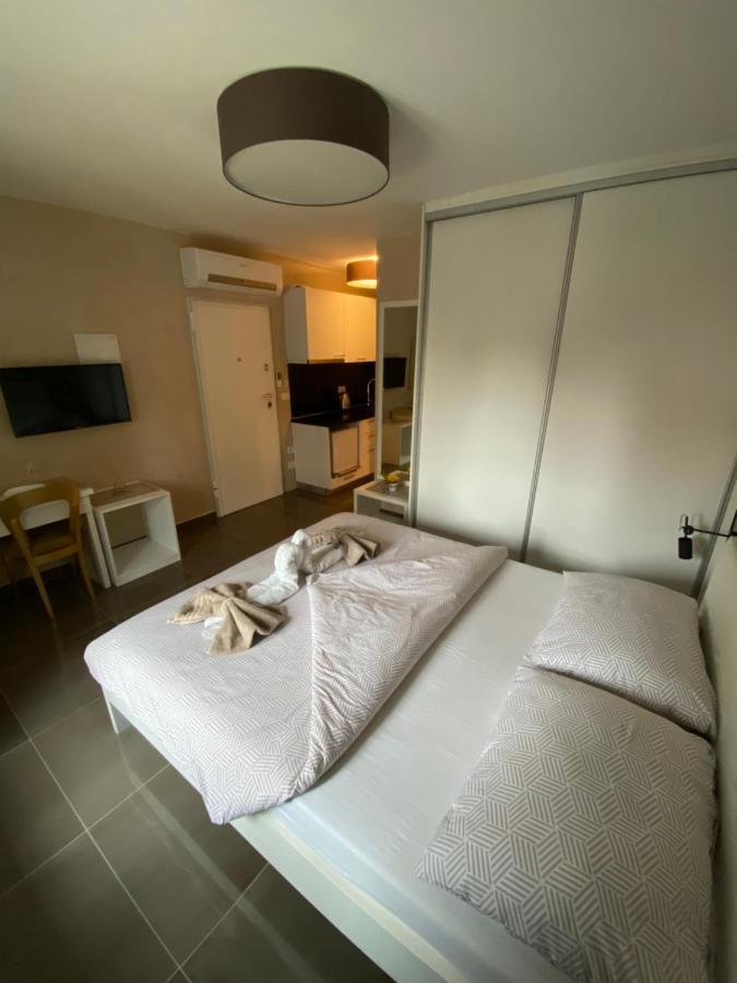 Villa Jessica Novigrad Istria المظهر الخارجي الصورة